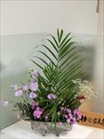 ڡҿ