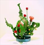 ޼͵