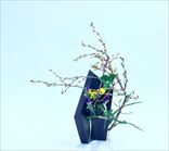 ް