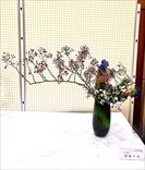 �ƣ�����