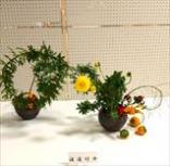 ����ݿ�