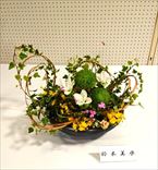 ���ڡ�����