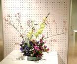 ���ġ�����