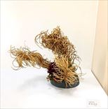 ¼�ġ�����