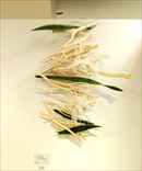 �������ʿ�