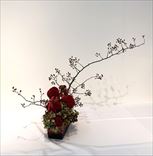 ƣ�ġ�����