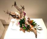 ��ƣ������