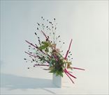 ����©��