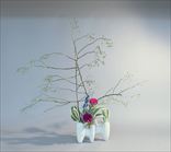 ��ϳ����