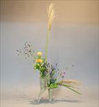 ���Ύ��ݎĎ׎���