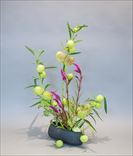 ����´� �֥ȥ��