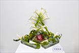 小暮星水