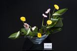 小渕裕水