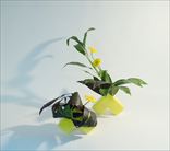 爽