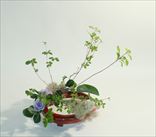 不可思議な