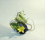 なごやか