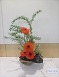 玉山　光水