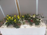 盛岡　里山の春