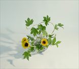 さわやかさ